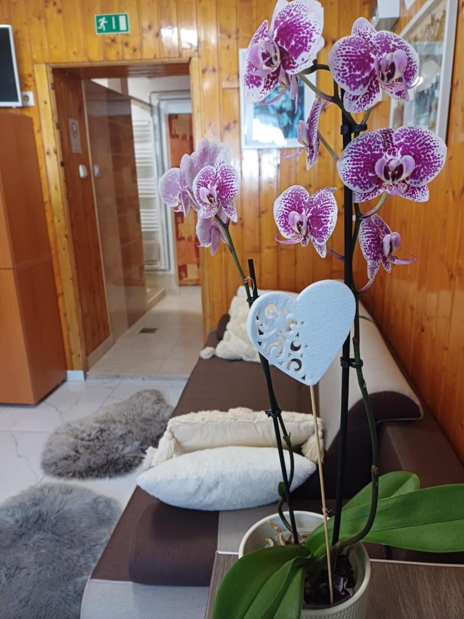 Unicum Vendeghaz Hotel Abadszalok Exterior photo